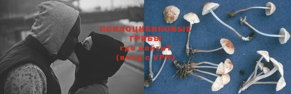 таблы Новокубанск