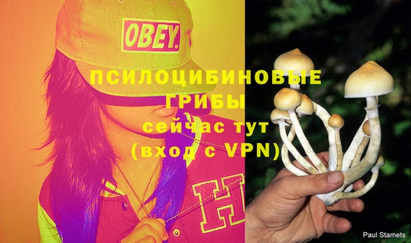 меф VHQ Новозыбков