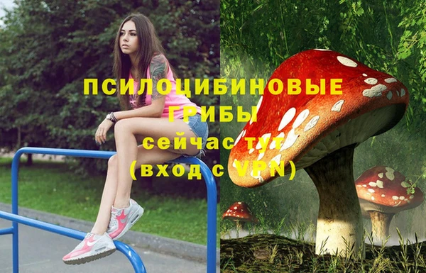 apvp Новодвинск