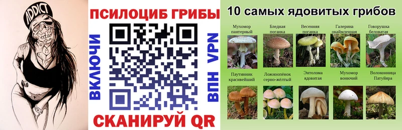 Псилоцибиновые грибы прущие грибы Чита
